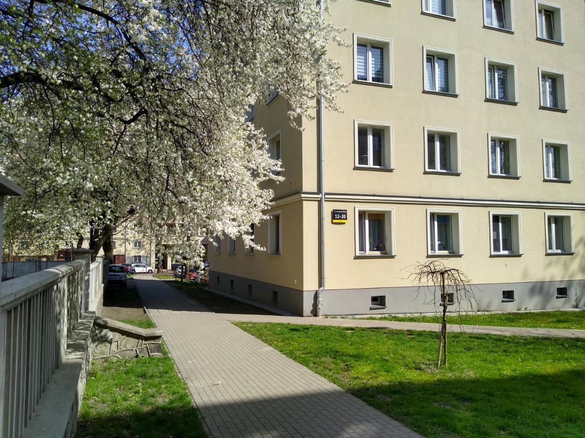Apartment Bluebird Katowice Near Spodek Mck & City Center 外观 照片